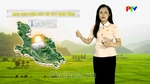 Dự báo thời tiết tỉnh Phú Thọ ngày 4/8/2026