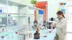 Duy trì sản xuất kinh doanh trong dịp nghỉ lễ