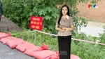 Dự báo thời tiết tỉnh Phú Thọ ngày 25/8/2026