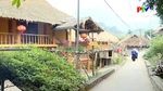 Phu Tho Culture Express - Preserving the soul of heritage promoting the value of histotical relics