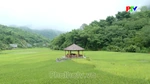 Phu Tho Culture Express - Turning culture into a driver of tourism development