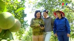 Đưa nông sản vươn xa trên môi trường số