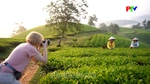 Phát triển nông nghiệp tuần hoàn đa giá trị
