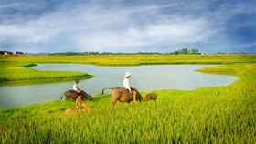 Quê hương yêu dấu