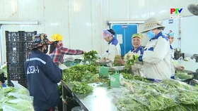 Nghị quyết 41 động lực mới cho nông nghiệp bền vững