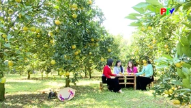 Phiên chợ mùa quả ngọt