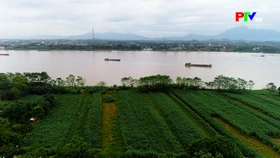 Return to Tam Nong listening the land tells its story