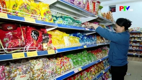 Phu Tho News on February 7, 2026