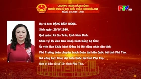 Chương trình hành động ứng cử Đại biểu Quốc hội khóa XVI của đồng chí Đặng Bích Ngọc