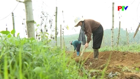 Những tấm gương đảng viên dân tộc thiểu số tiêu biểu