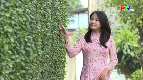 Longing for the Homely Hedge