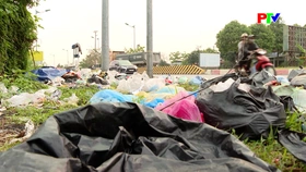 Bãi rác tự phát gây ô nhiễm