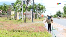 Người lao động chật vật ứng phó với nắng nóng