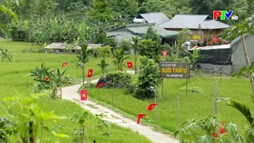 Đổi mới từ phát triển nông nghiệp và du lịch
