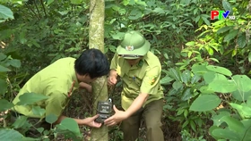 Bảo vệ sự đa dạng sinh học