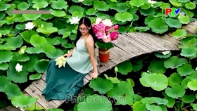 The summer scent of lotus