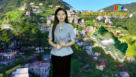 Dự báo thời tiết tỉnh Phú Thọ ngày 25/7/2026