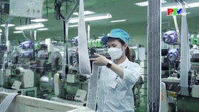 Xây dựng khu công nghiệp xanh để phát triển bền vững