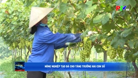 Nông nghiệp tạo đà cho tăng trưởng hai con số