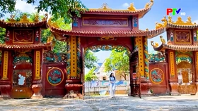 Một miền thanh tịnh