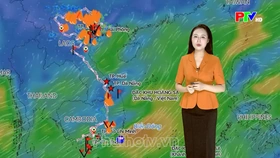 Dự báo thời tiết tỉnh Phú Thọ ngày 28/8/2026