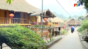 Phu Tho Culture Express - Preserving the soul of heritage promoting the value of histotical relics
