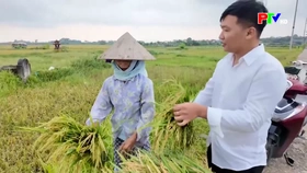 Trưởng thôn thế hệ mới