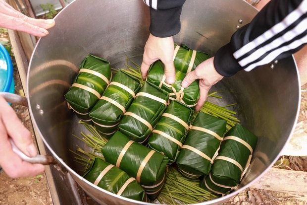 Hội thi làm bánh chưng, bánh giầy: Nét đặc trưng vùng Đất Tổ